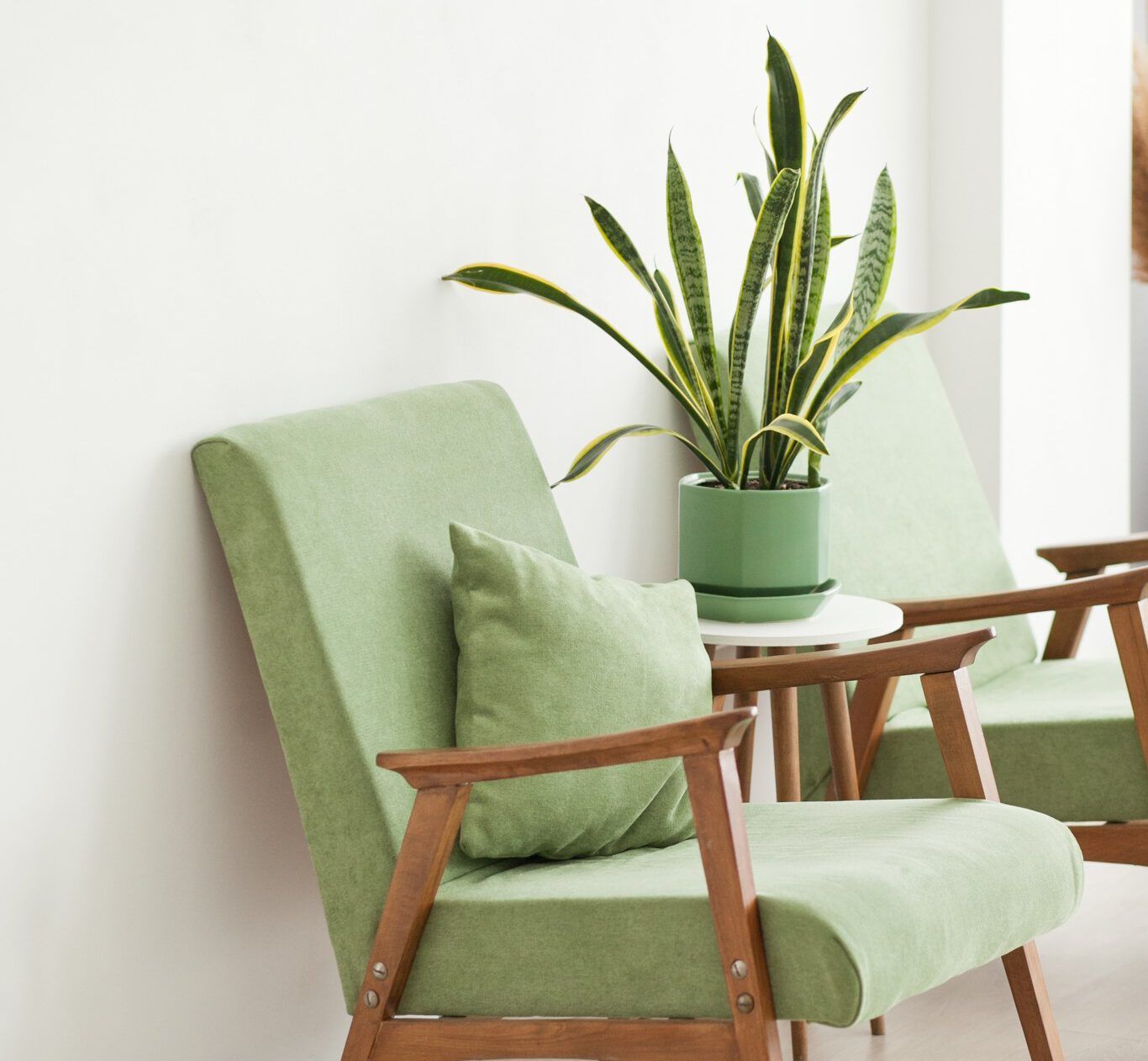 green chairs and plants in therapist office in Brooklyn, NY