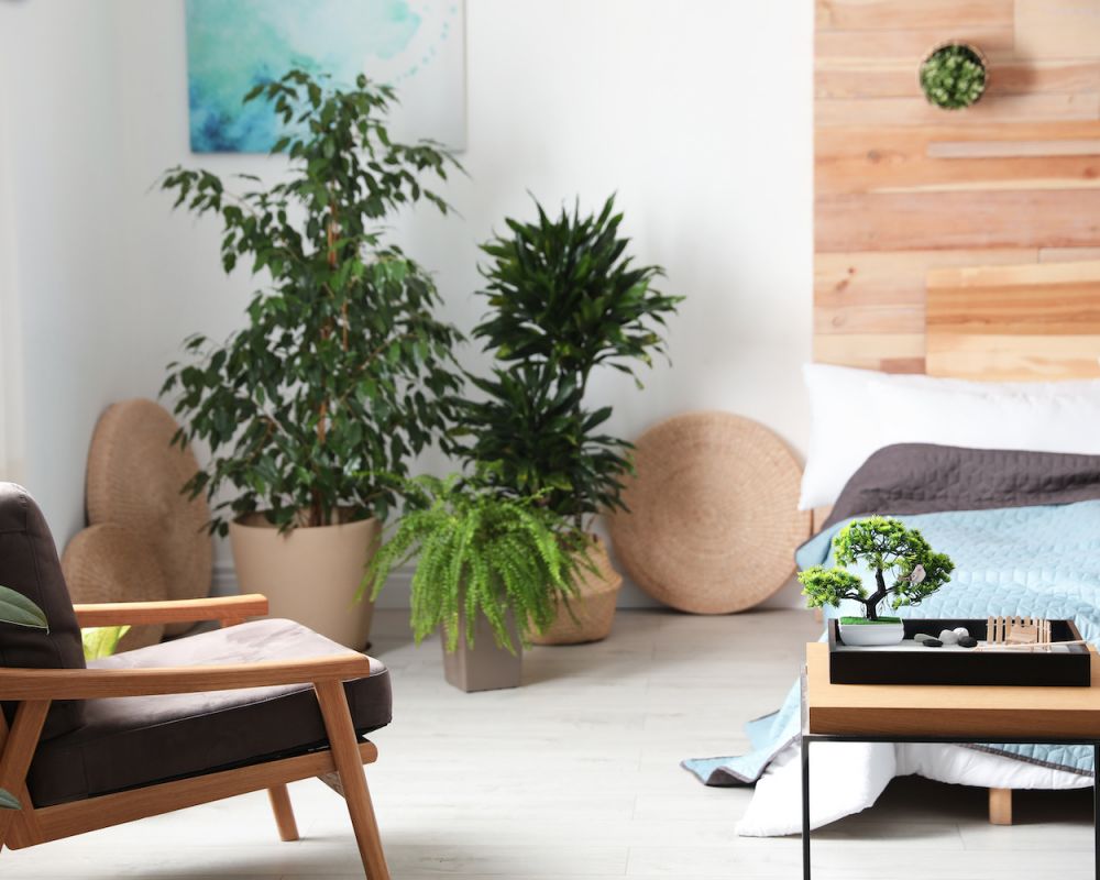 room with comfy chair and green plants in New York