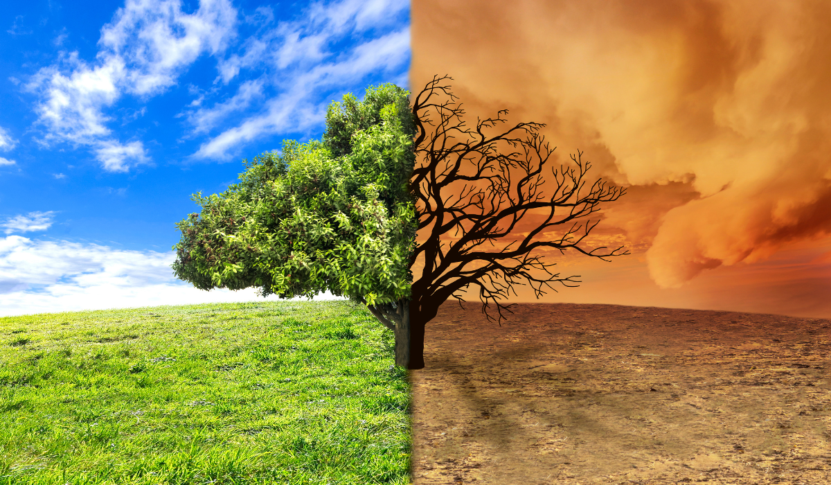 coping with climate change anxiety