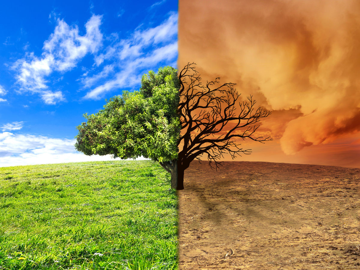coping with climate change anxiety