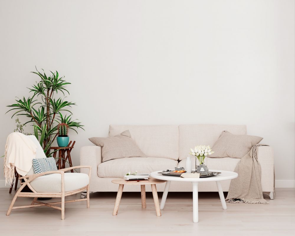 therapist room with comfy furniture and green indoor plants
