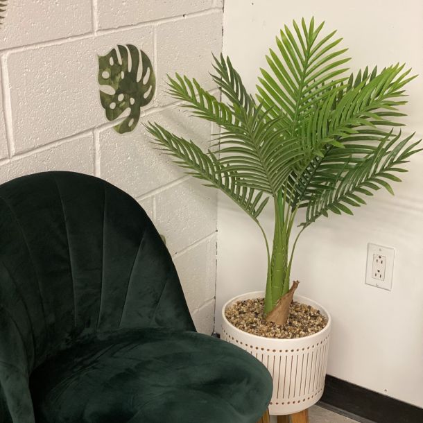 photo of chair and plant in Refresh Psychotherapy's South Slope office location in Brooklyn, NY