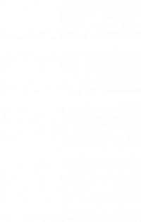 white monstera leaf