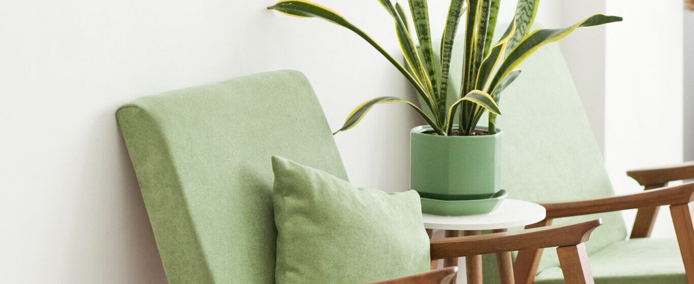 green chairs and plants in therapist office in Brooklyn, NY
