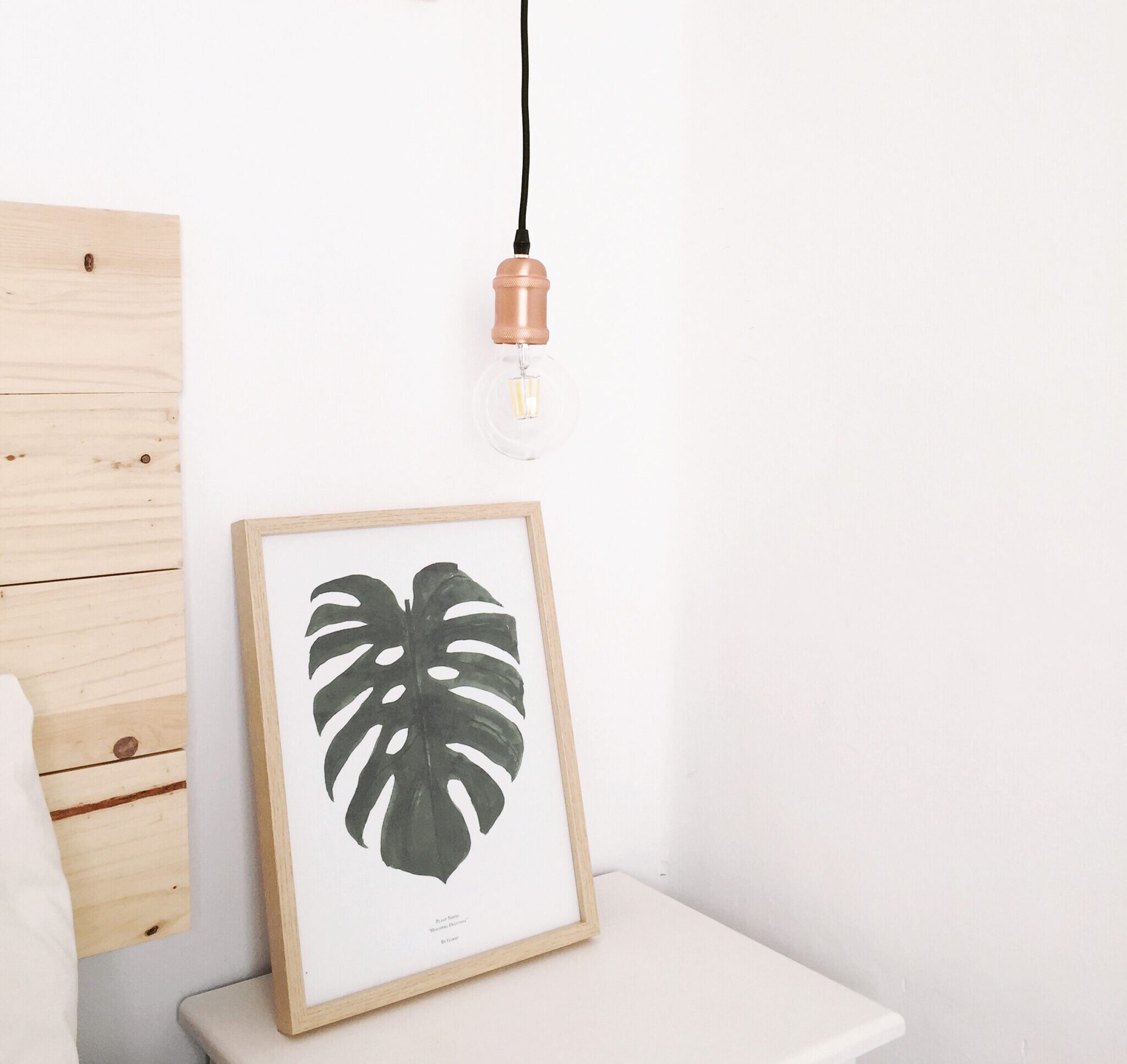 monstera leaf in picture frame at therapist office
