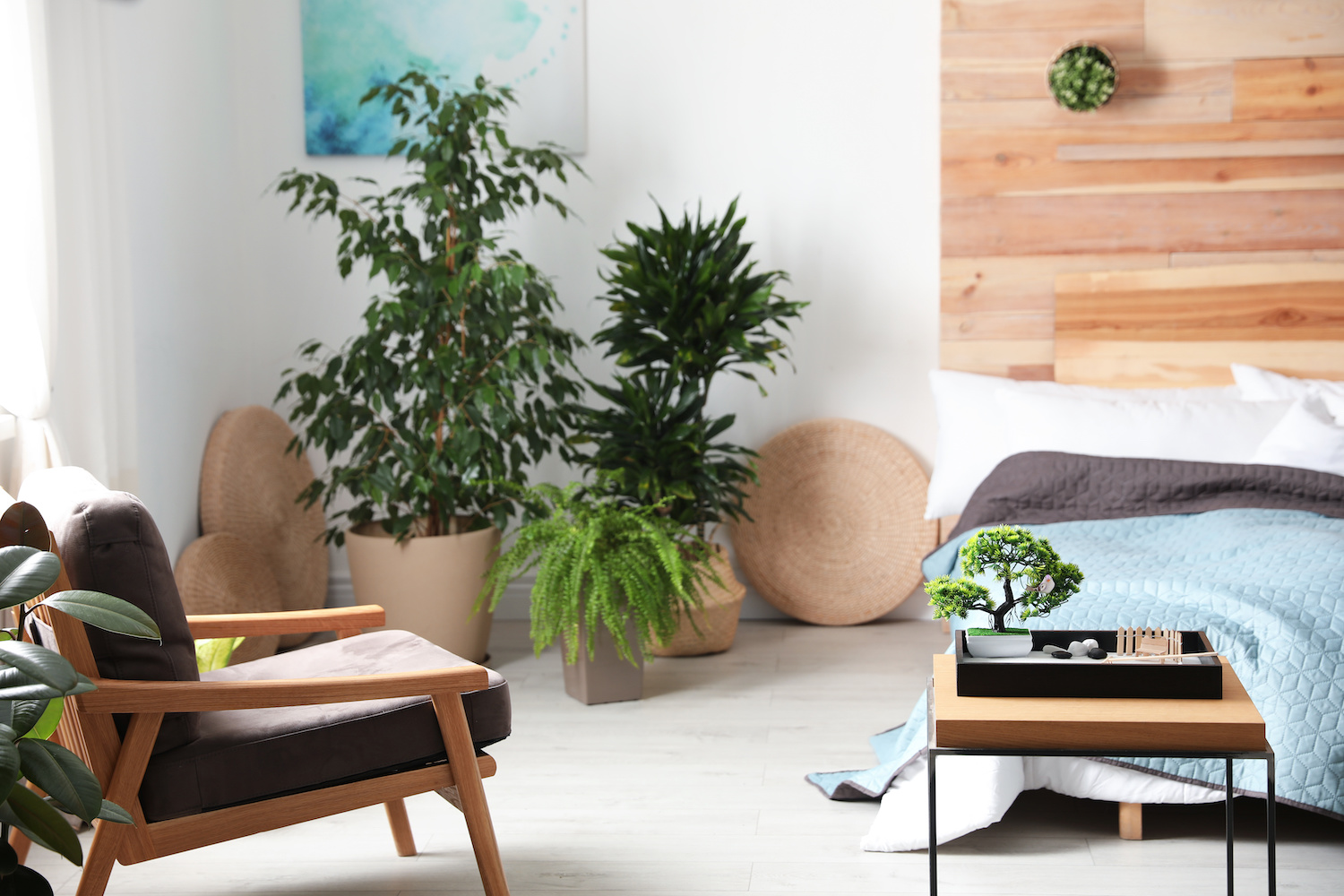 room with comfy chair and green plants in New York